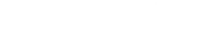 Weissbär - Ihre Entrümpelungs Profis in Berlin